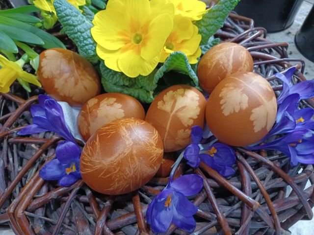 VEĽKONOČNÉ vajíčka varené v cibuľovej šupke – AKO SA TO ROBÍ